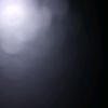 charlotted421