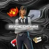 r1nedfnm0