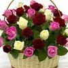 song.ng275
