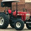mayobrand208