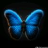 khadija.jallow8