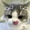 itsgyergina