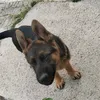 edodajeroma85