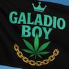 galadiolilsaikai