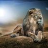 afzaalahmad3303