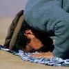 mohammadafzalamiri.01