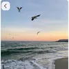 grafskiy_pon