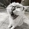 ugumu_naxyu