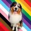 orca.the.aussie