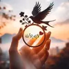 .aesthetic.soul1