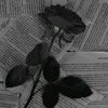 unknown_4425