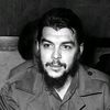 salim52416