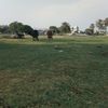 fahad.baloch334