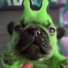 doodysaur