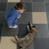 _habiba38_