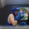 jpmccolgan
