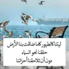 wwyuuvxjw1243