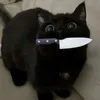 ayra.lacoste