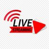 livestreaming_agency11