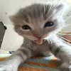 manu_manuhb