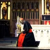 David Liturgiae defensor 🇻🇦