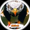 faroop6063