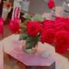 mellisammelisa._8