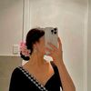 lilyfernandoz