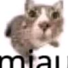 miau_miausc