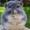 terompoelculobienriko
