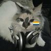 katori_mex