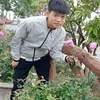 duysao46