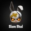 siambhai63
