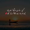 happylife.pk