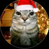jemuel_carl0