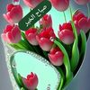 user5449561185970