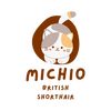 michio_bsh_bdg