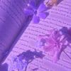 aydin_jahan007