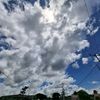 tanpanamaa_212