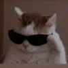 nhincaccac2