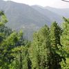 hamzajutt2859
