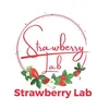 strawberry.lab
