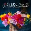 janalyaelhd47