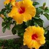 kucu.asaf.herkese