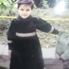moeezhaseeb3