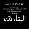 user347200688878