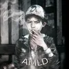 amld_64