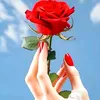 user6000140372748