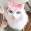 marly45257