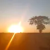 lialmeida2